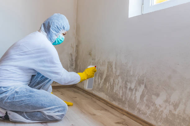 Mold Remediation specialist working in Clermont